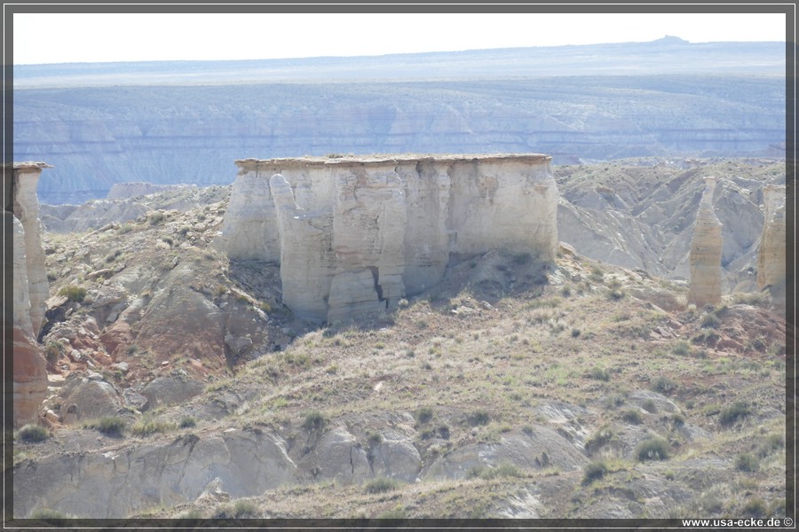 HaHoNoGeh2019_009