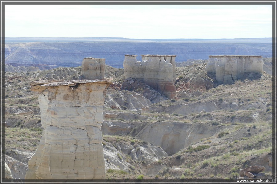 HaHoNoGeh2019_011