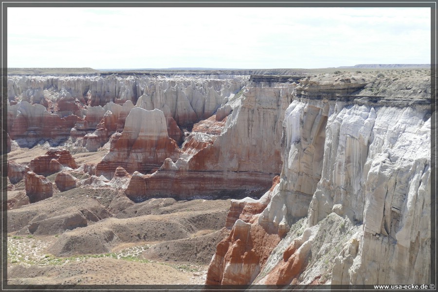 HaHoNoGeh2019_037