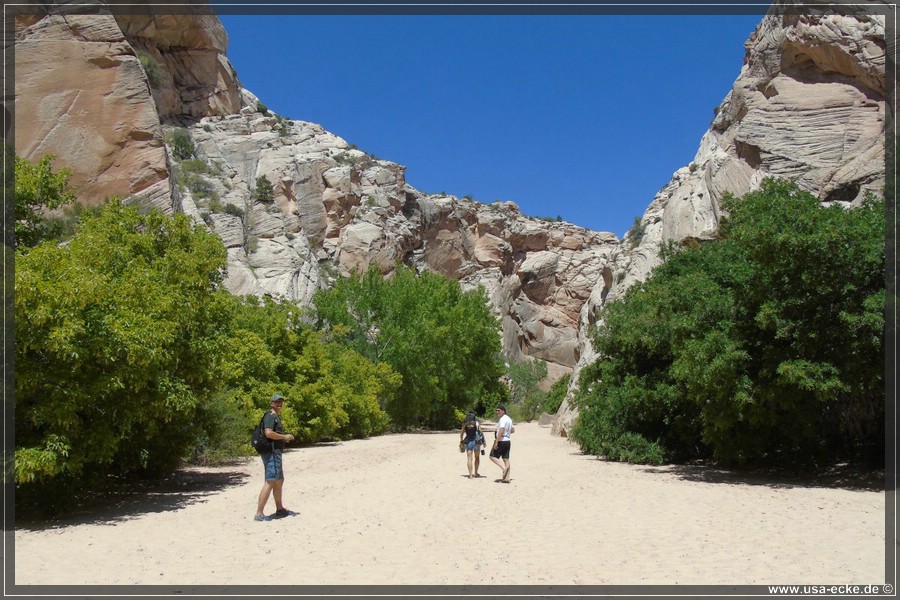 HackberryCanyon2017_007