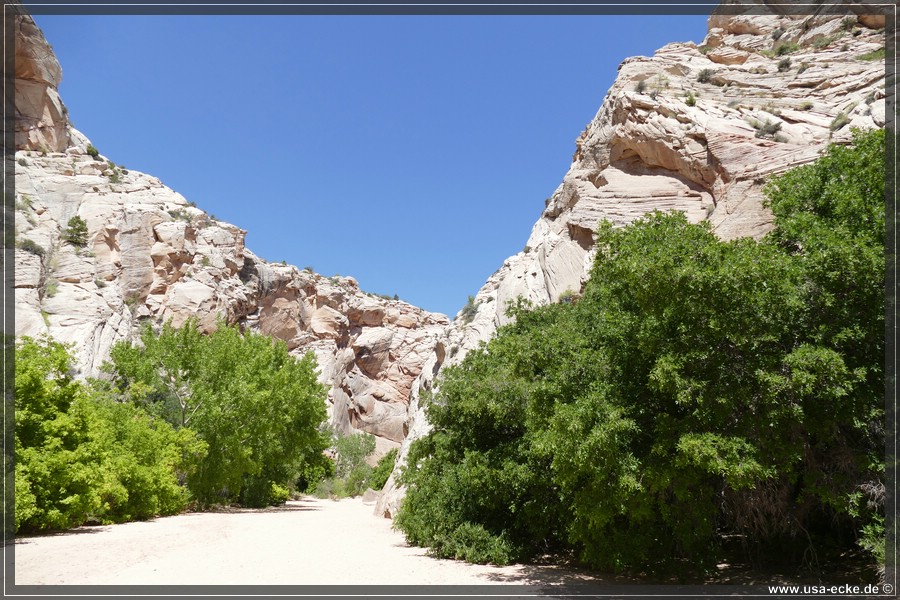 HackberryCanyon2017_008
