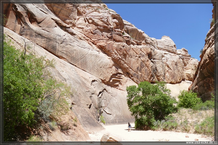 HackberryCanyon2017_009