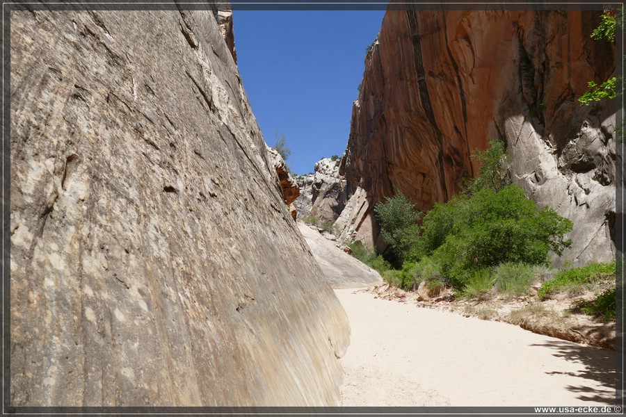 HackberryCanyon2017_017