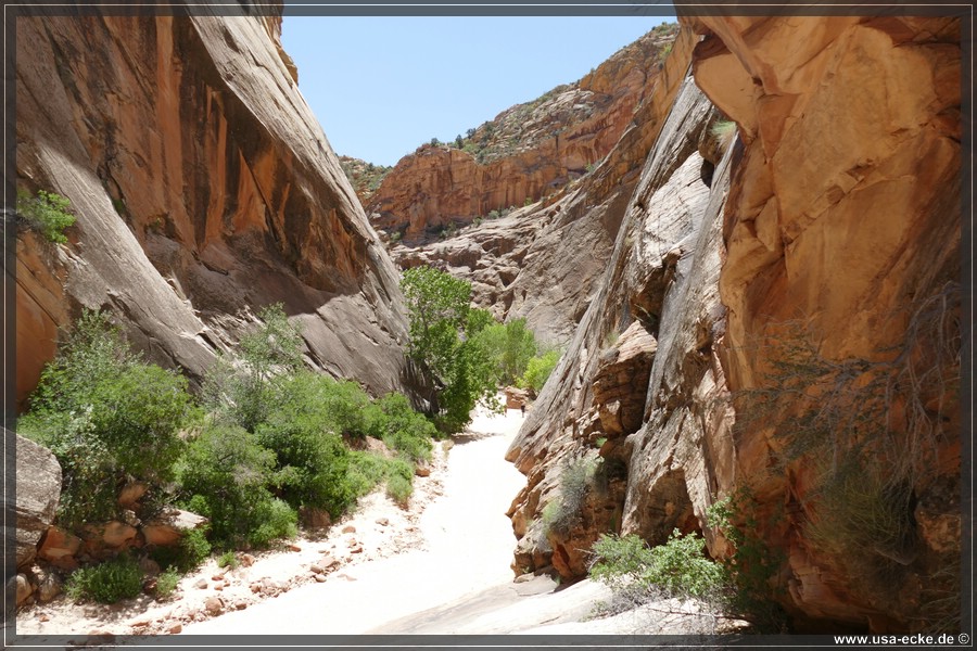 HackberryCanyon2017_019