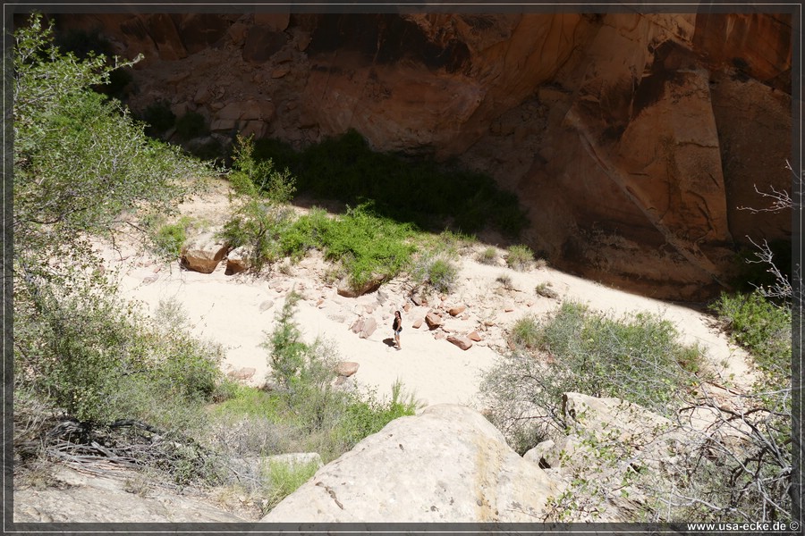 HackberryCanyon2017_021