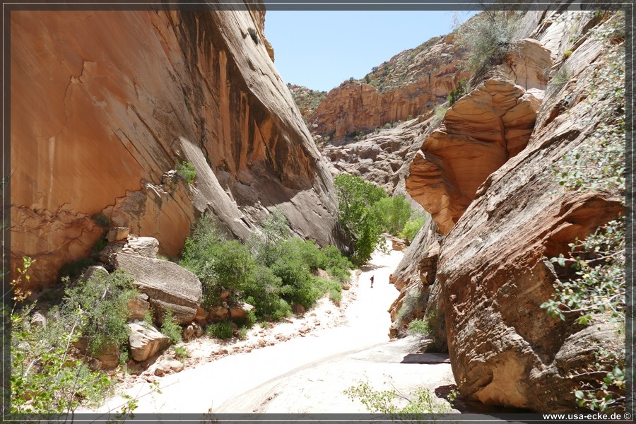 HackberryCanyon2017_022