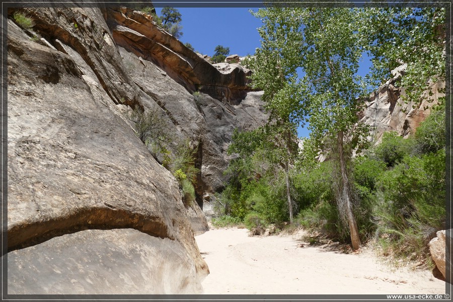 HackberryCanyon2017_023