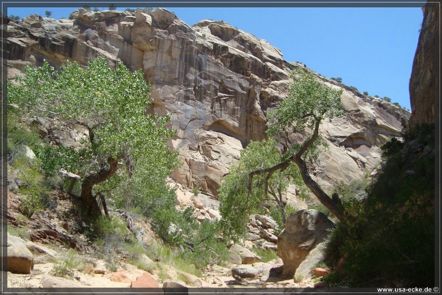 HackberryCanyon2017_028