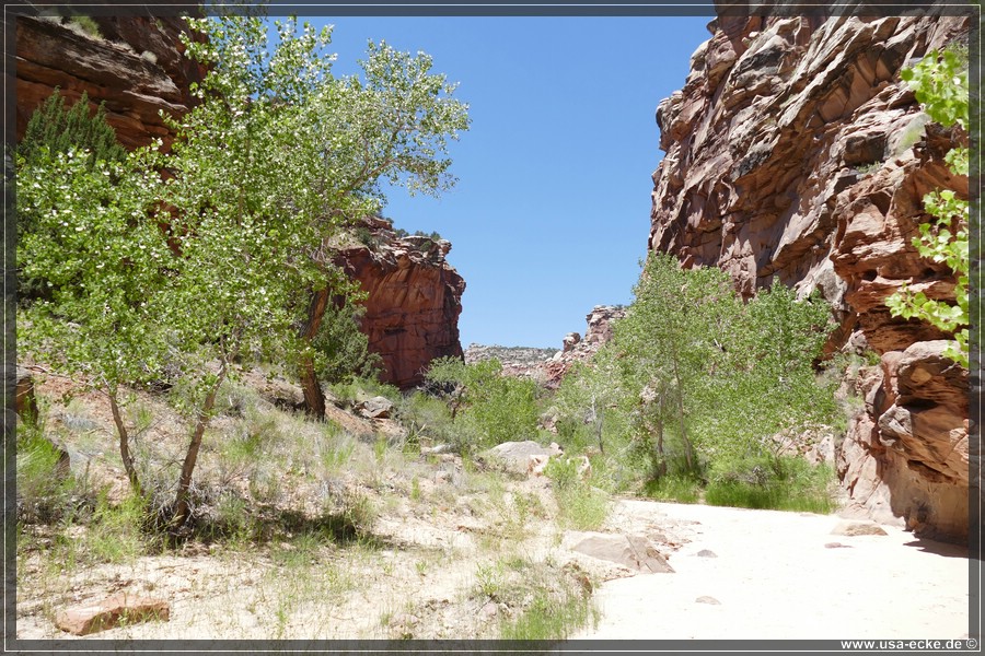 HackberryCanyon2017_030