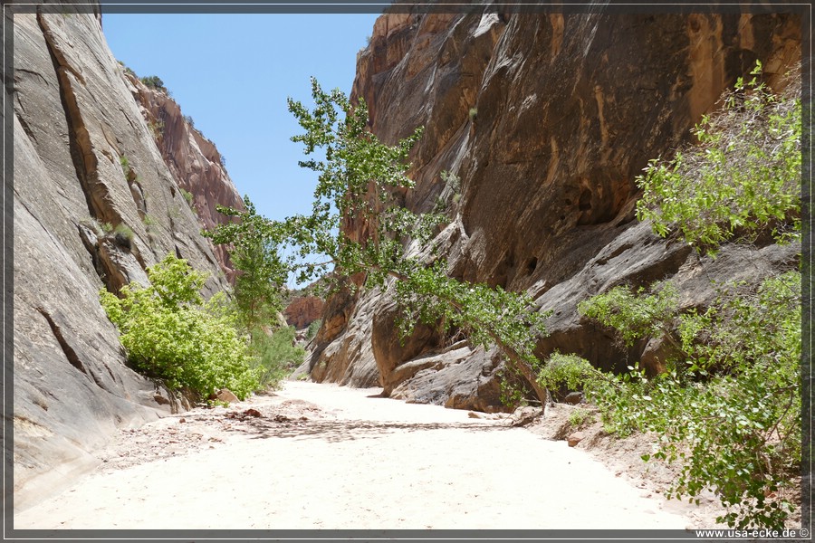 HackberryCanyon2017_033