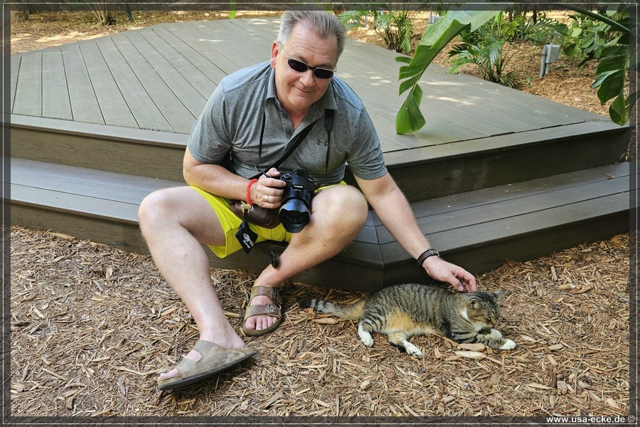 HemingwayCats_2024_012