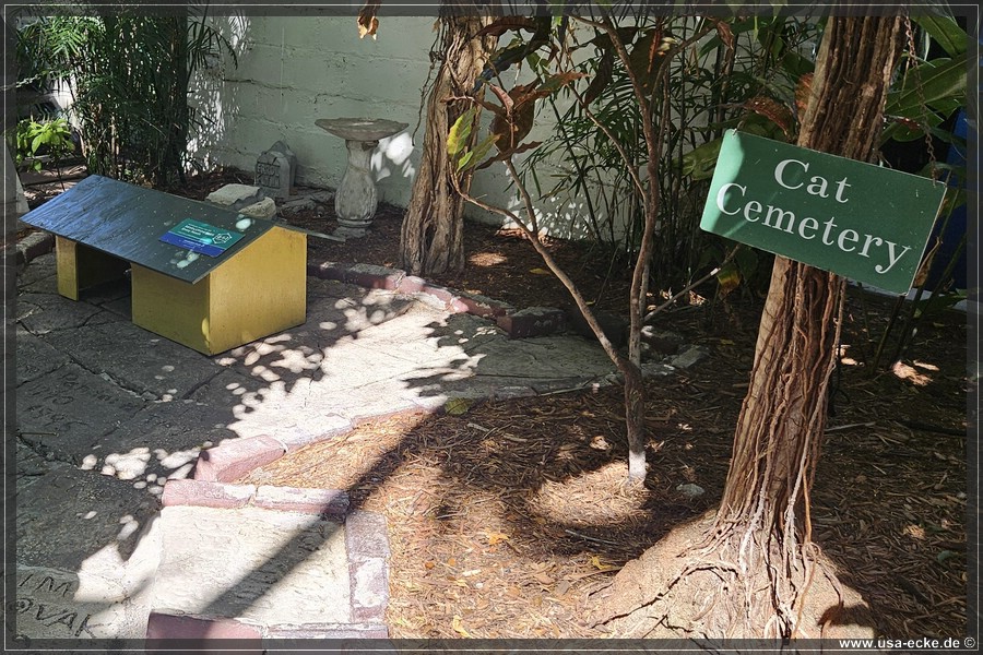 HemingwayCats_2024_013