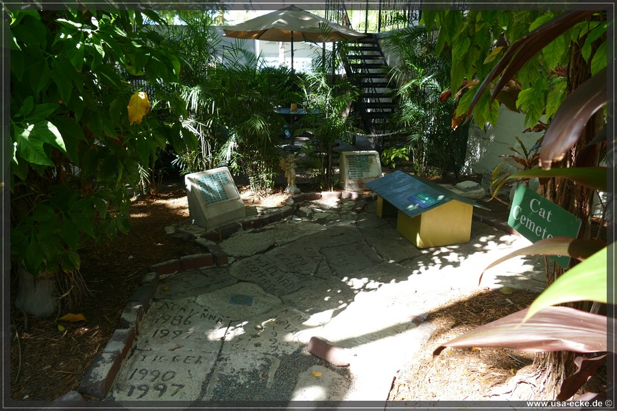 HemingwayCats_2024_014