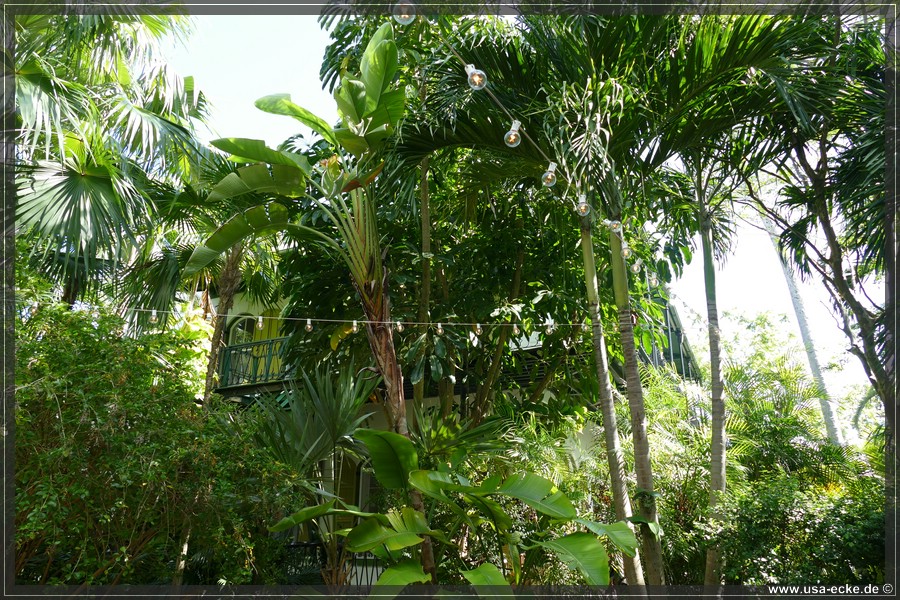 HemingwayHome_2024_003