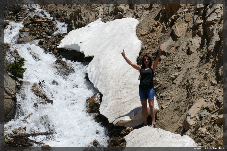 IndependencePass2019_008