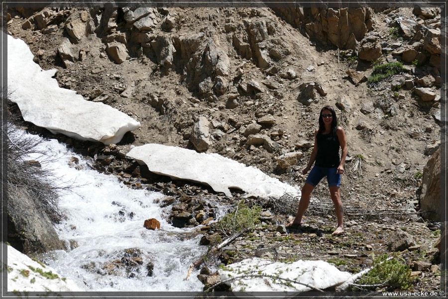 IndependencePass2019_010