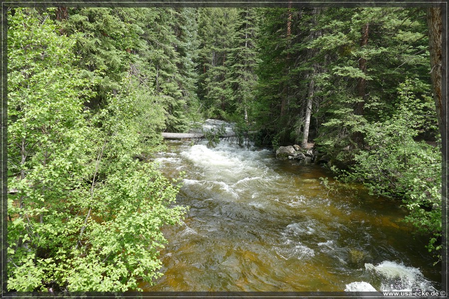 IndependencePass2019_035