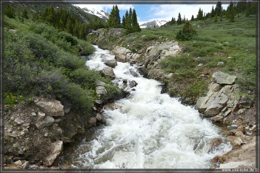 IndependencePass2019_038