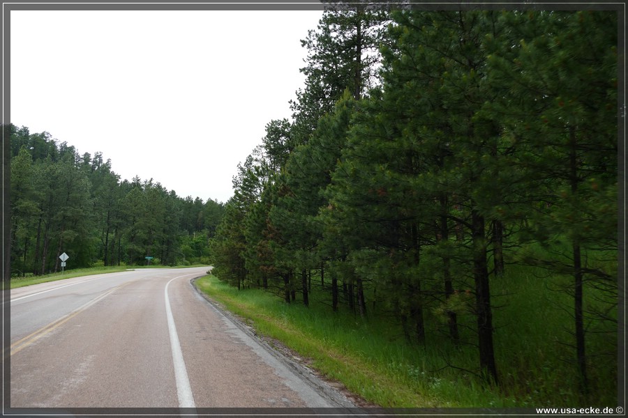 IronMountainRoad2023_006