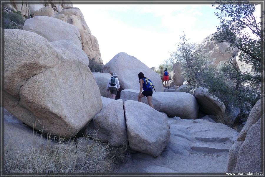 JoshuaValley2018_003