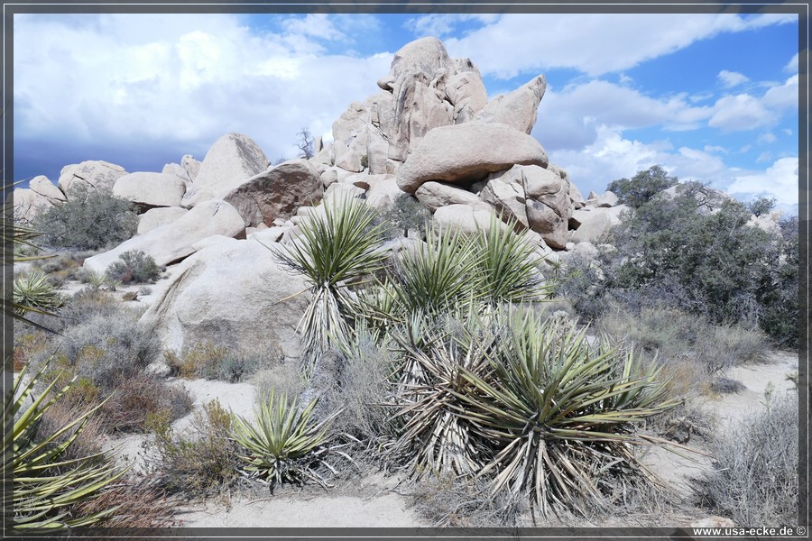 JoshuaValley2018_005