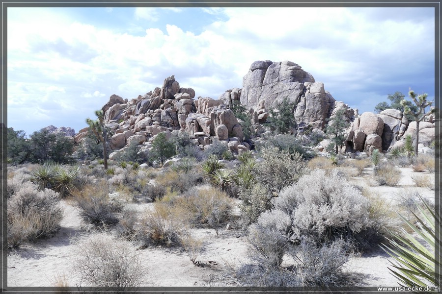 JoshuaValley2018_006