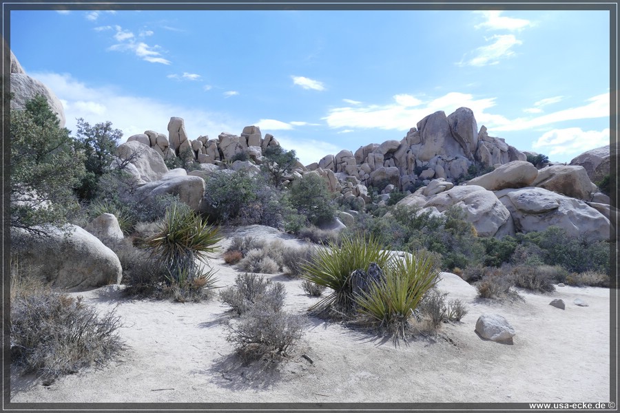 JoshuaValley2018_007