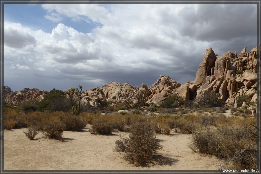 JoshuaValley2018_010