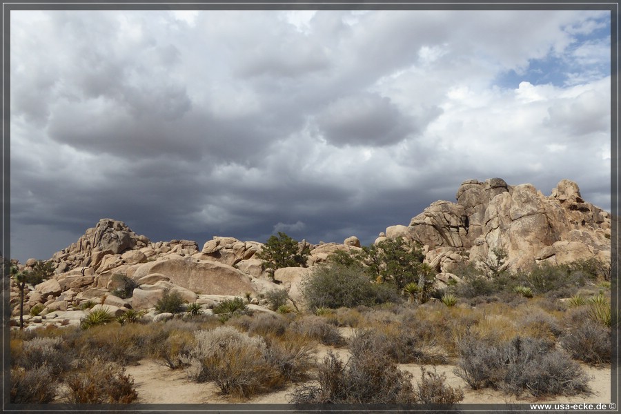 JoshuaValley2018_011