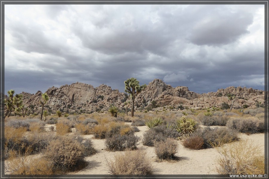 JoshuaValley2018_013