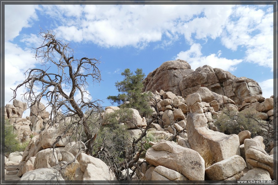 JoshuaValley2018_018