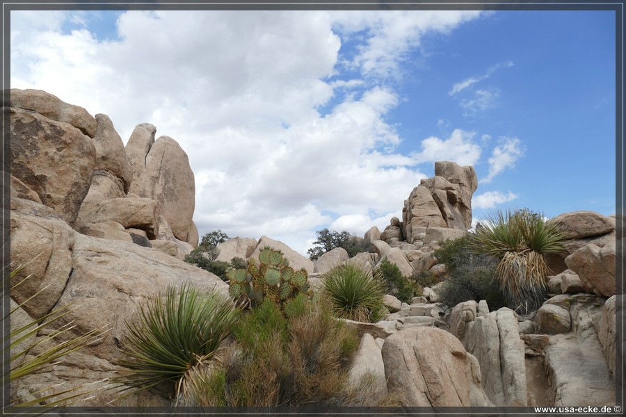 JoshuaValley2018_020