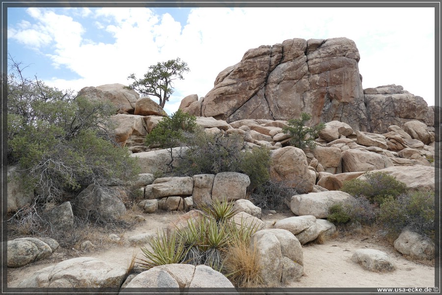 JoshuaValley2018_022