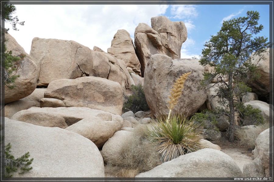 JoshuaValley2018_023