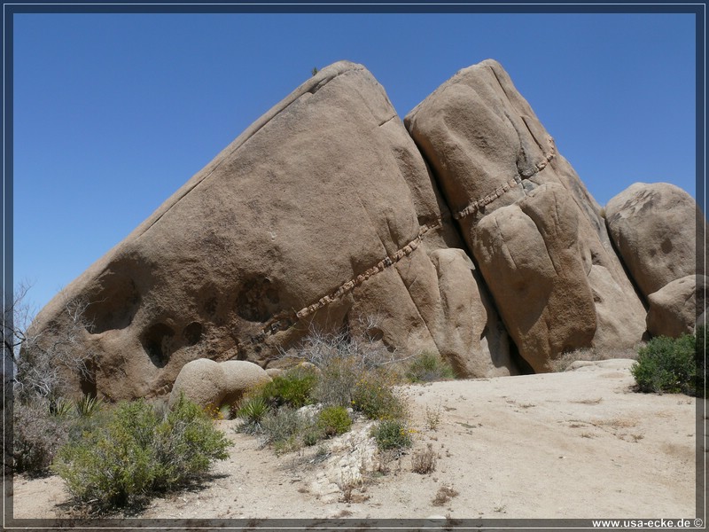 Joshua_Tree_004