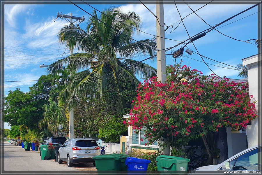 KeyWest2019_013