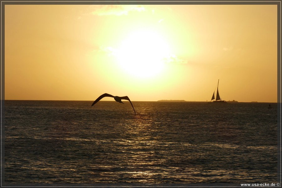 Sunset_2024_008