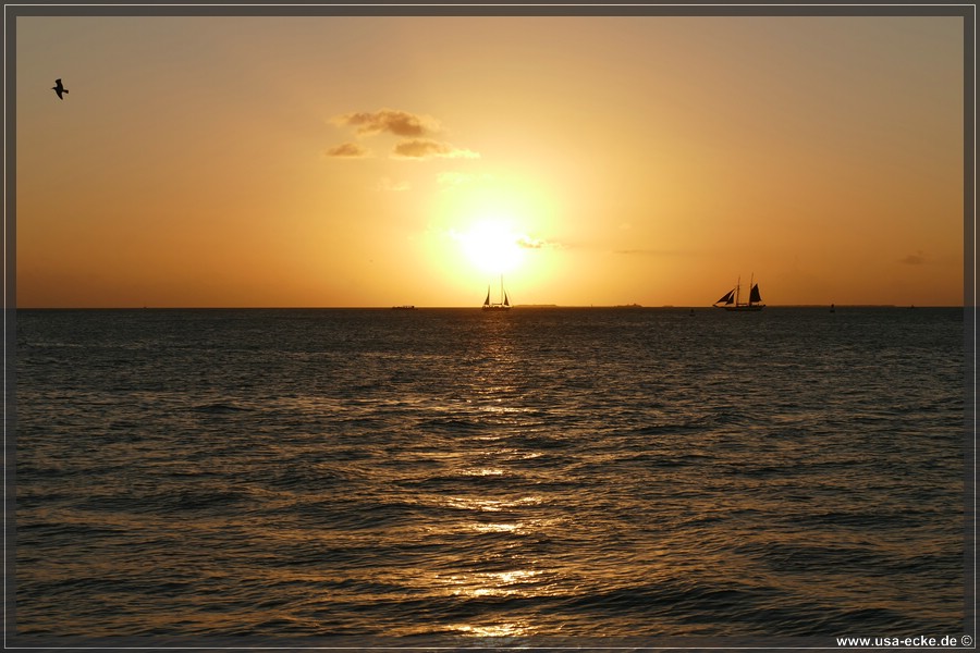 Sunset_2024_011