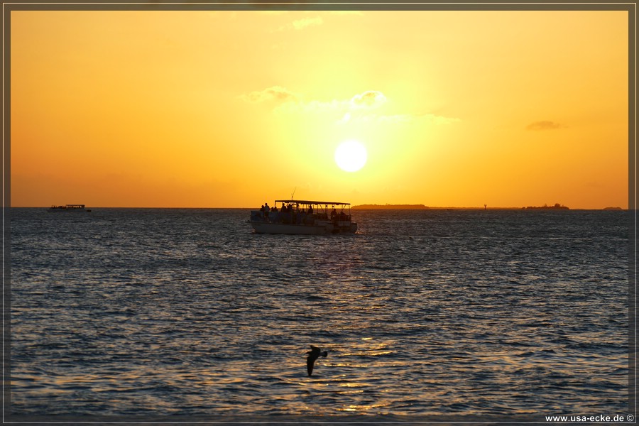 Sunset_2024_014