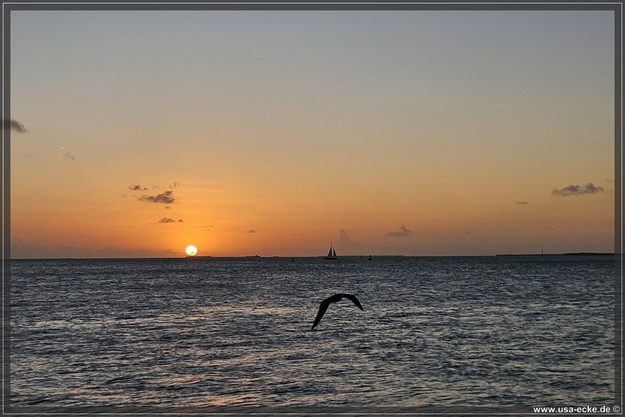 Sunset_2024_021