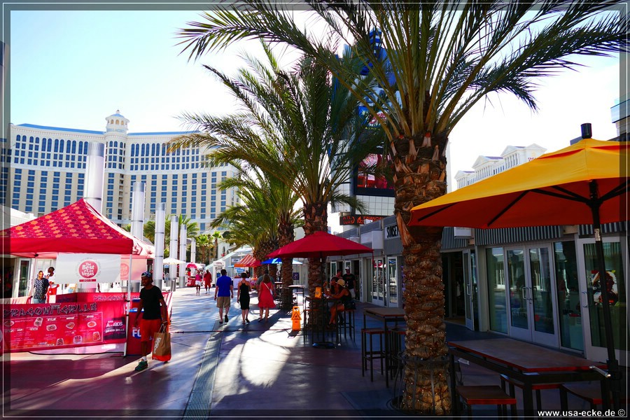 LasVegas2015_015