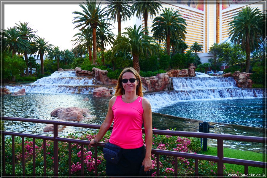 LasVegas2015_028