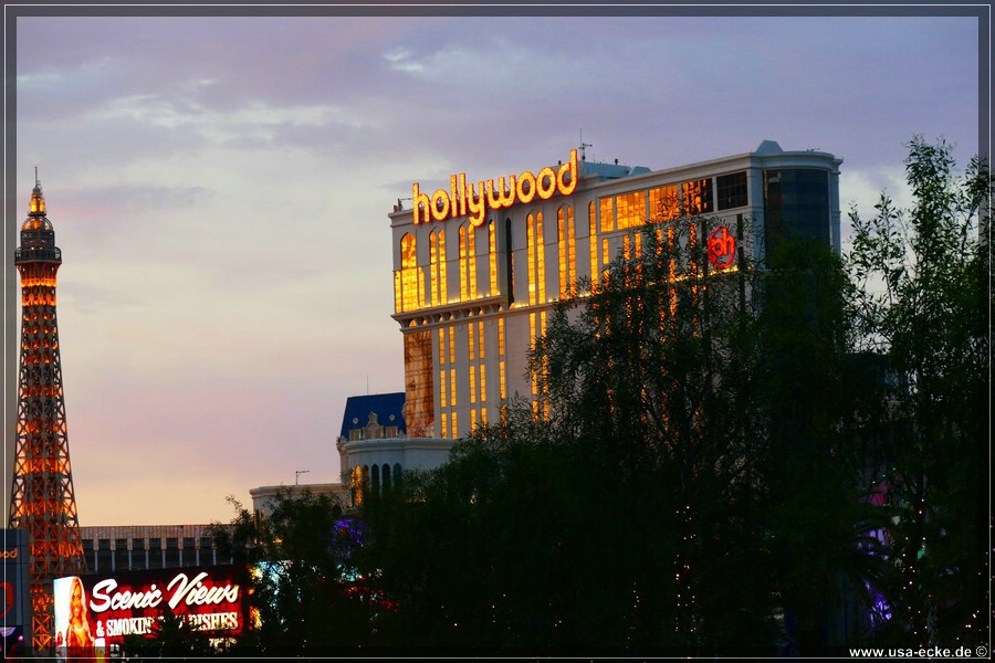 LasVegas2015_050