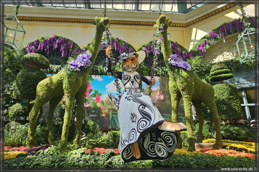 Bellagio_2025_031