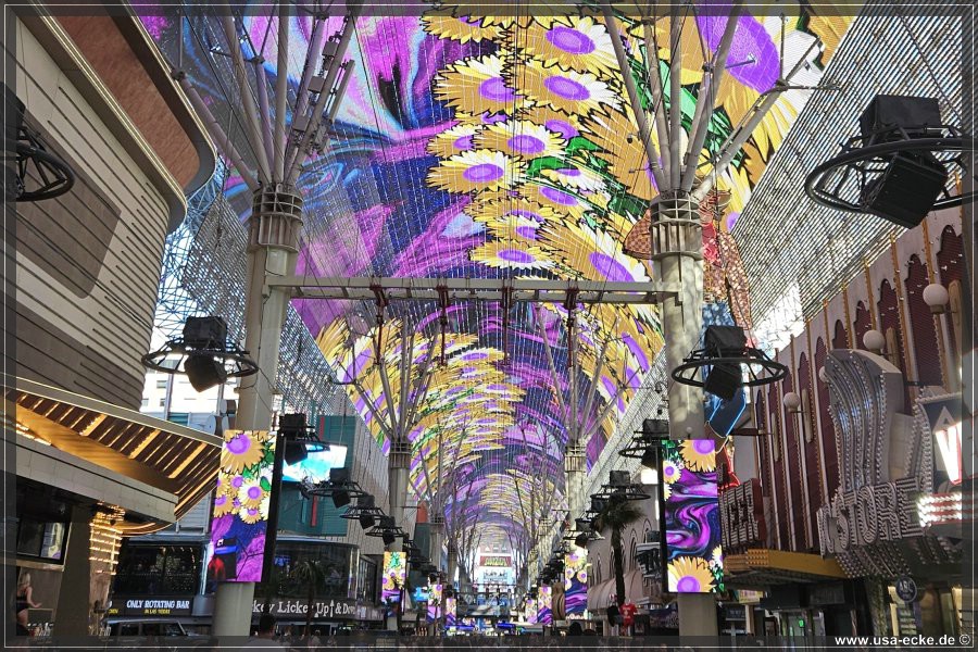 Fremont_2025_024