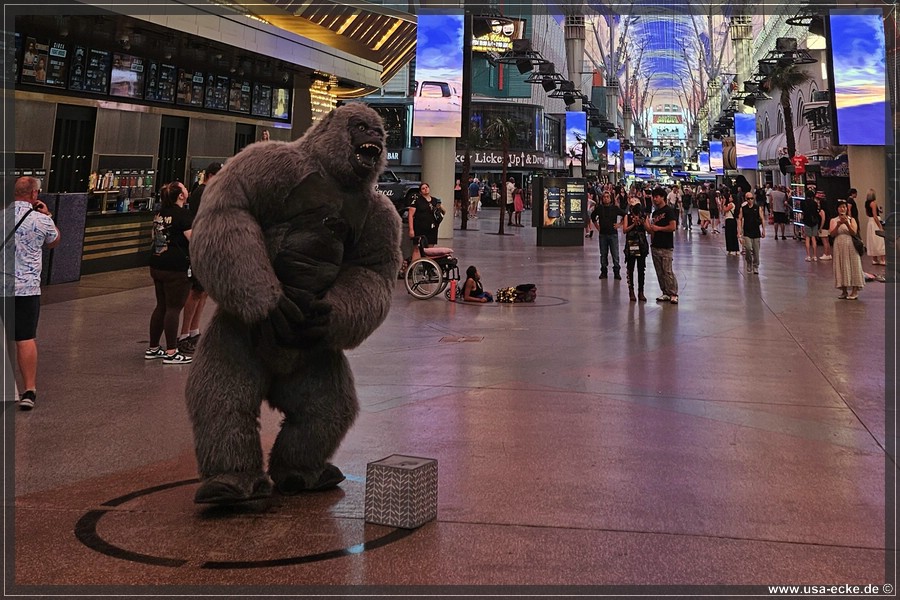 Fremont_2025_028