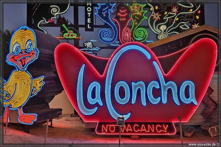 NeonMuseum_2025_004
