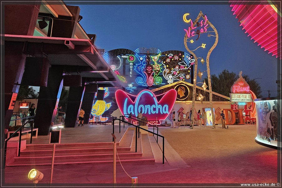 NeonMuseum_2025_008
