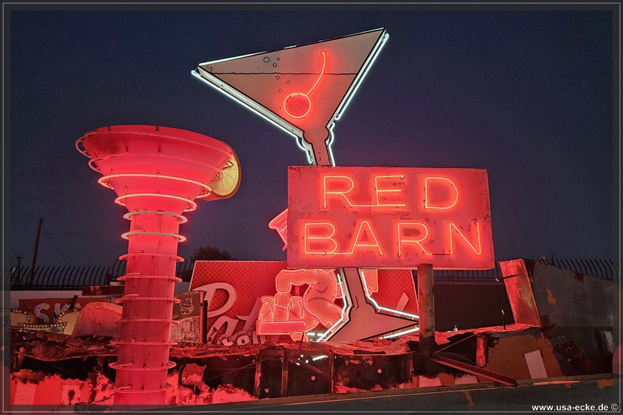 NeonMuseum_2025_018