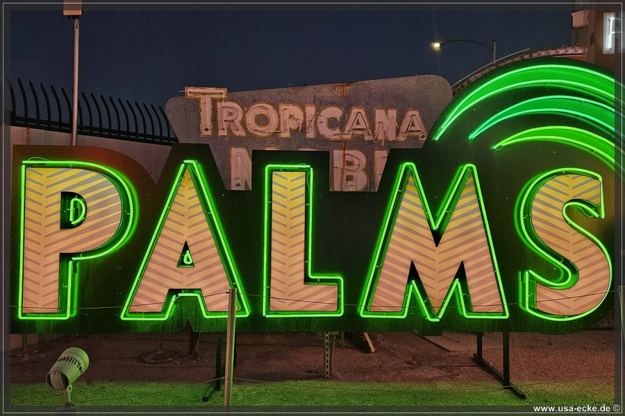 NeonMuseum_2025_027